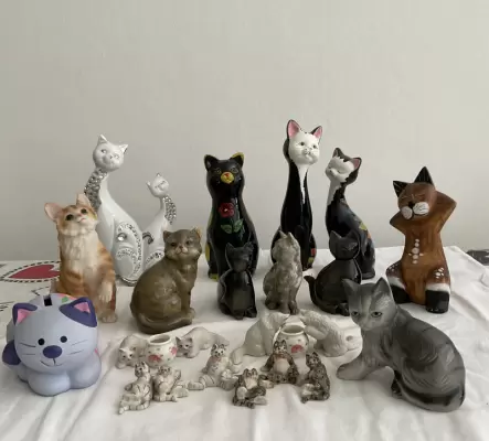 Jolie collection de chats