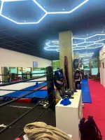 Image 3