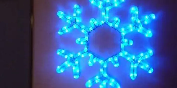 Etoile de Noel