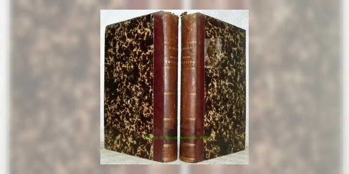 Traité d’optique physique. 2 volumes.