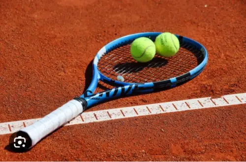 Cordage de raquettes de badminton et de tennis. à Plan-les-Ouates