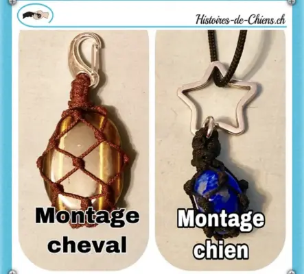 Un montage en pierre pour aider votre animal