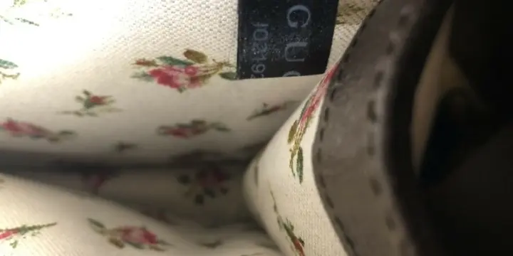 sac à main Gucci Dionysus