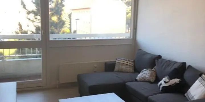 Appartement 2 pièces 46m2 meublé