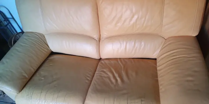 Les Canapés en cuirs