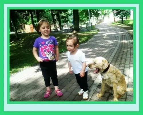 recherche de baby sitter pour nos filles à Lausanne