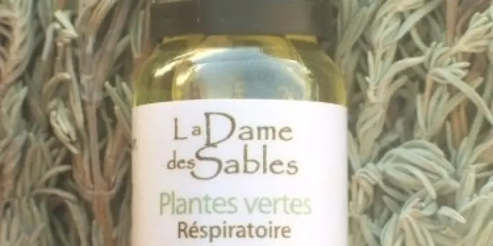 Nopalis huiles essentielles plante verte