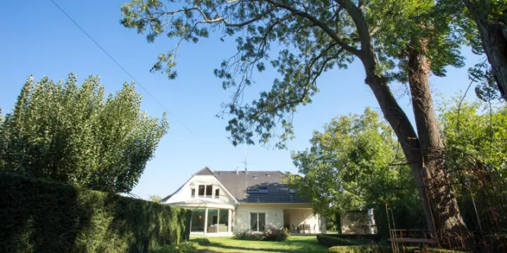 LUXUEUX DOMAINE  à Vendre en ALSACE