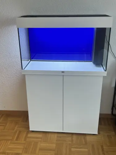Aquarium juwel Rio 125, blanc à Orbe