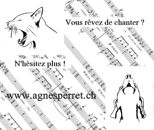 Cours de chant et pose de voix à Genève à Genève