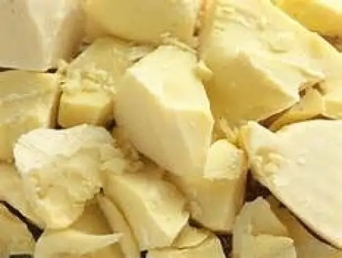 Beurre de cacao bio