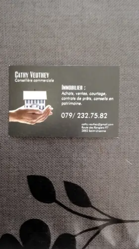 Aide à la recherche de biens/chasseur de biens à Delémont