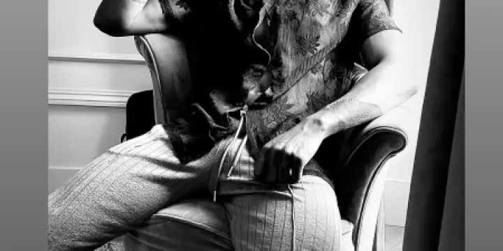 Belle étalon black pour vous mesdames