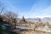 Image 6