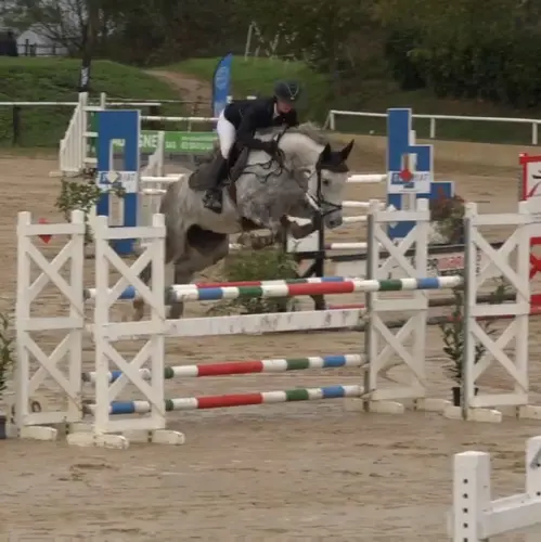 Cheval de compétition à Vuillecin
