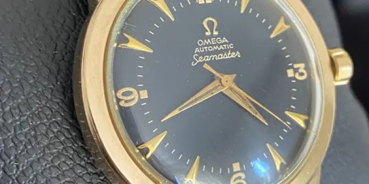 Omega seamaster bumper