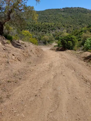 TERRE DE PROVENCE : ENTRE PINS ET CIPRES (France) à village