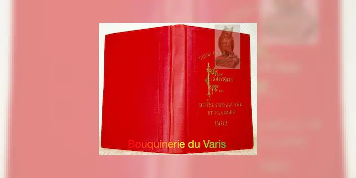 Guide Bruxelles et ses environs. Souvenir des Hôtels de Belle-Vue et de Flandres édité par la…