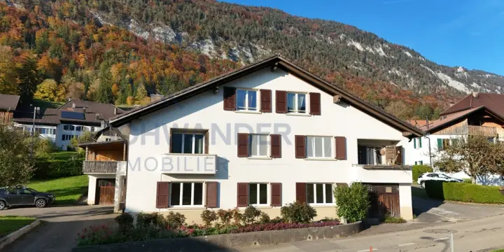 Maison de 3 appartements, atelier, remise et grande parcelle au calme