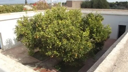 vente maison d compagne à Tarodant Maroc à Taroudant