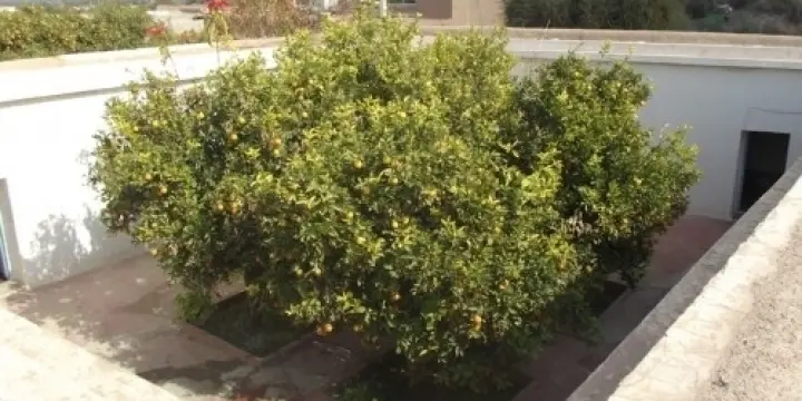 vente maison d compagne à Tarodant Maroc