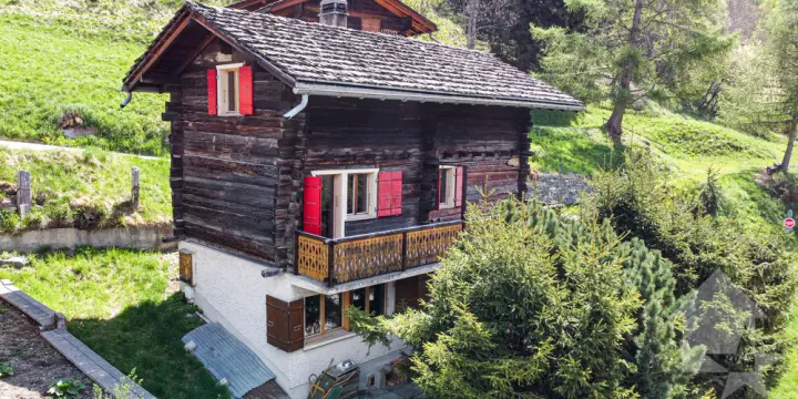 Charmant chalet sur trois niveaux avec vue exceptionnelle