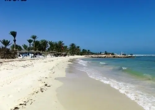 Appartement neuf en rez de chaussée d'un à Ile de Djerba