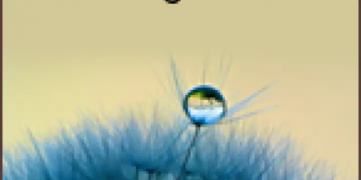 Formation à l'ennéagramme