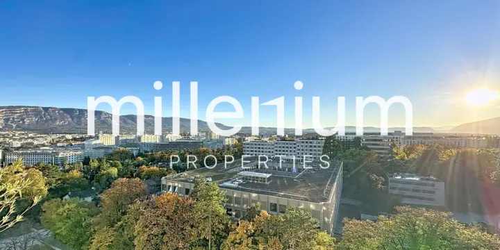 Appartement 2P meublé avec balcon proche ONU