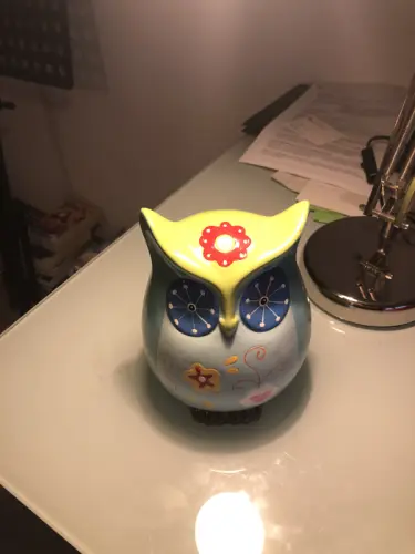 Grande tire-lire hibou 19 cm à Nyon