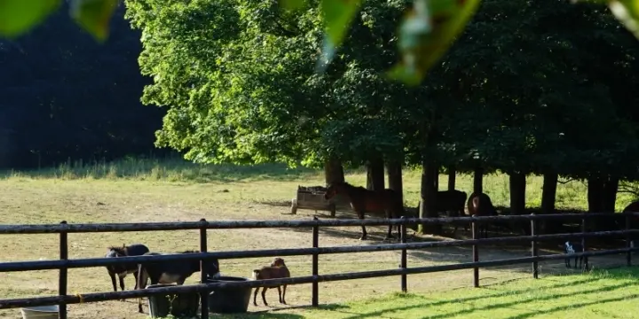 Recherche un concierge ou couple de concierges