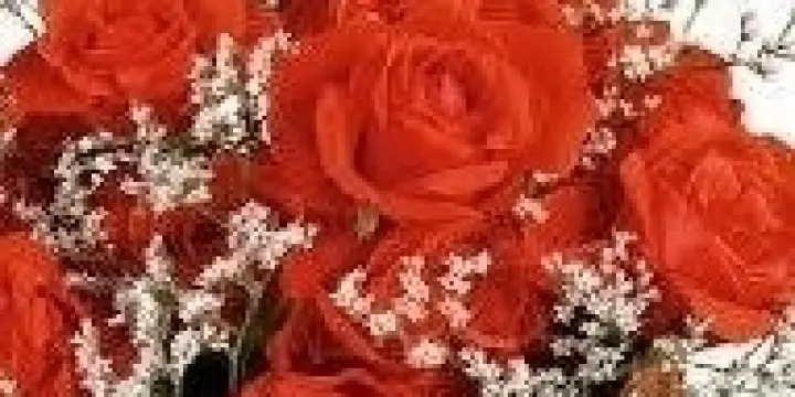 En quête de l'amour