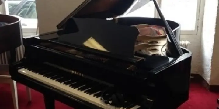 Piano à queue Yamaha G3 avec silencieux