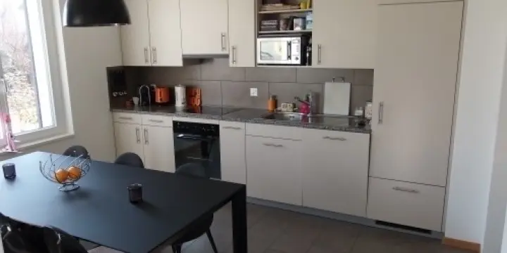 Bel appartement a eysins