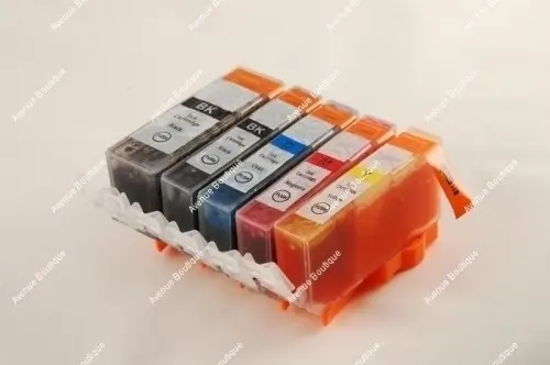 Pack 5 cartouches compatibles pgi525 à Audrehem