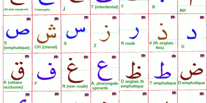 COURS / FORMATION INTENSIVE EN LANGUE ARABE