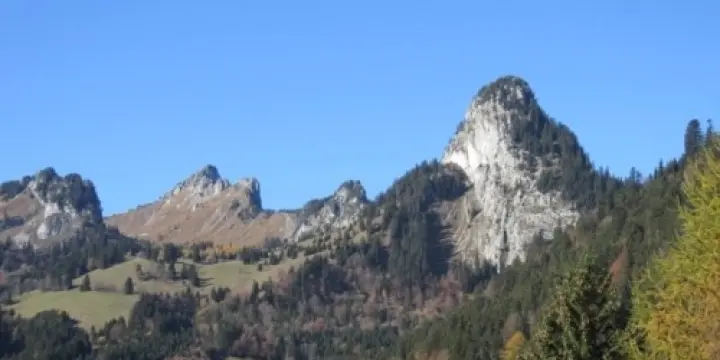 TORGON - APPARTEMENT COMPLÉTEMENT RÉNOVÉ