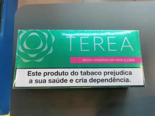 Terea smartcore sticks menthe à Bulle