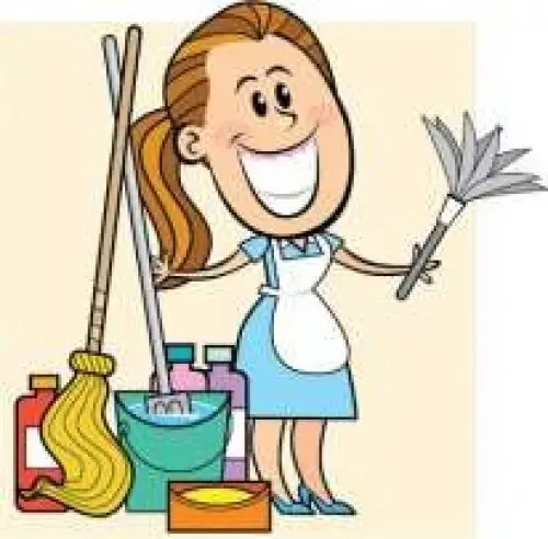 Femme de Menage pour votre maison  à avenches