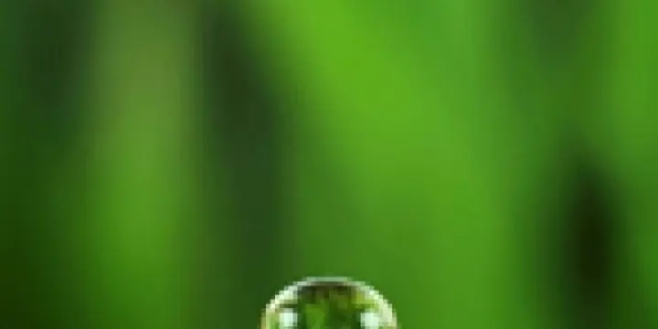 Hypnose thérapeutique à Lausanne