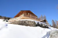 Image 7