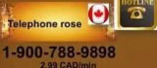Lady Panda, jolie, coquine Canada à canada