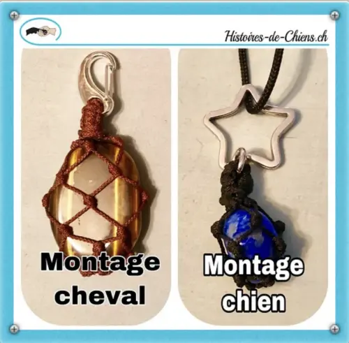 Les bienfaits des pierres pour votre animal à Saicourt