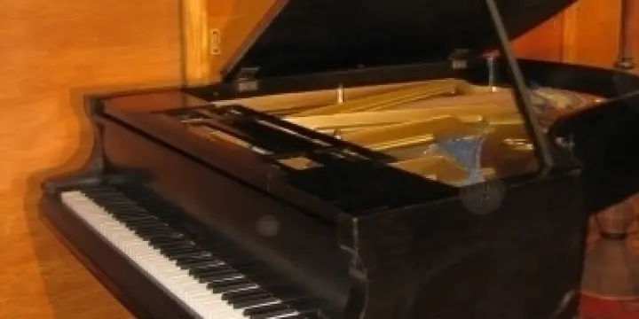Piano à queue Blüthner 190cm