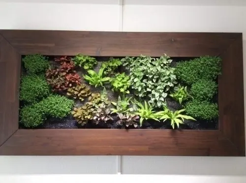 mur vegetal . . à geneve