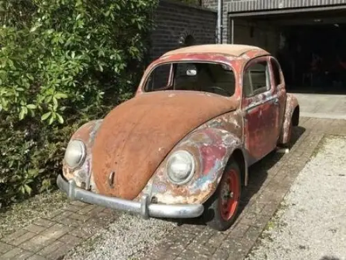 Epave de coccinelle à vaud