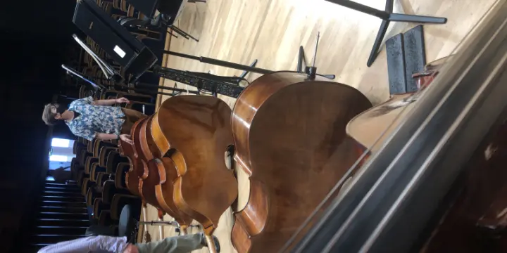 Cours de contrebasse et/ou de solfège