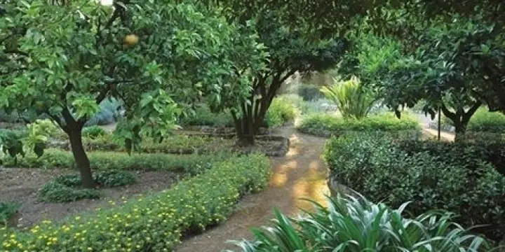 Terrains à vendre Marrakech