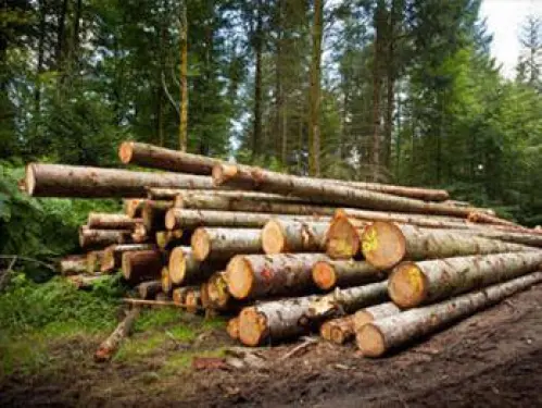 Bois de Chauffage