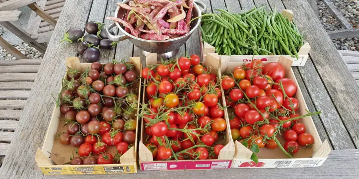 Ferme rénovée de 4.5 pièces à Coeuve en Ajoie avec grand jardin